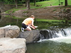 IMG 4509